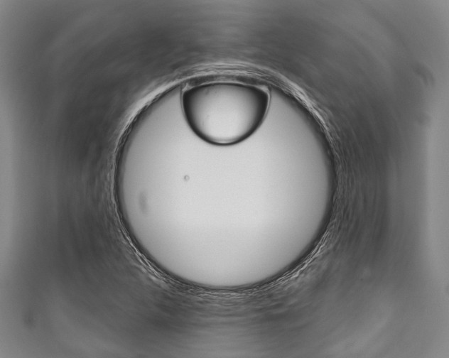 X0000111791312200907230941