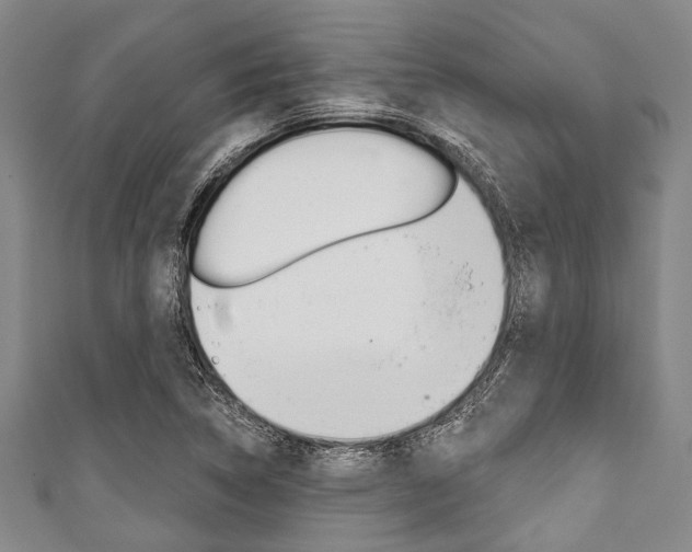 X0000111791314200907230941