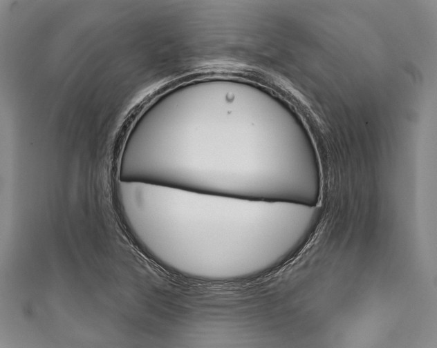 X0000111791315200907230941
