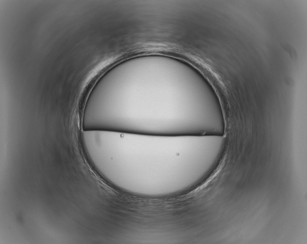 X0000111791317200907230941
