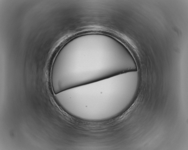 X0000111791318200907230941