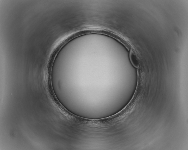 X0000111791319200907230941