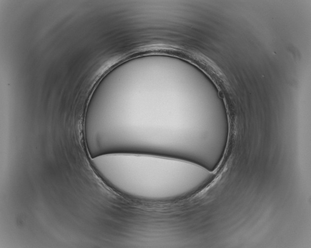 X0000111791321200907230941