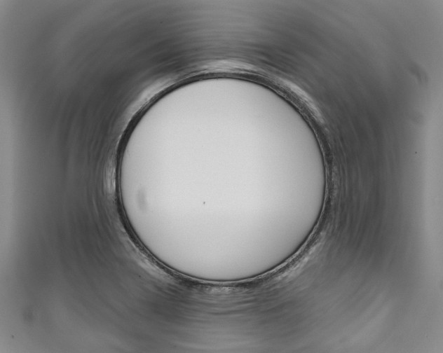 X0000111791322200907230941