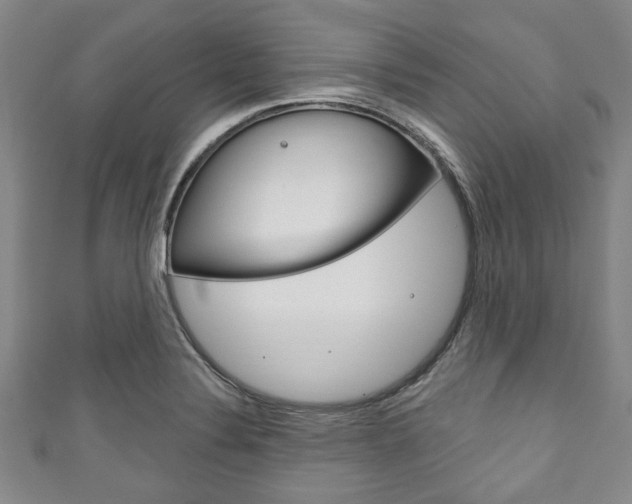 X0000111791324200907230941