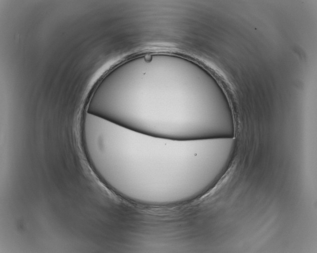 X0000111791325200907230941
