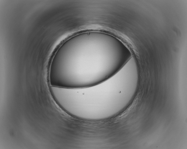X0000111791326200907230941