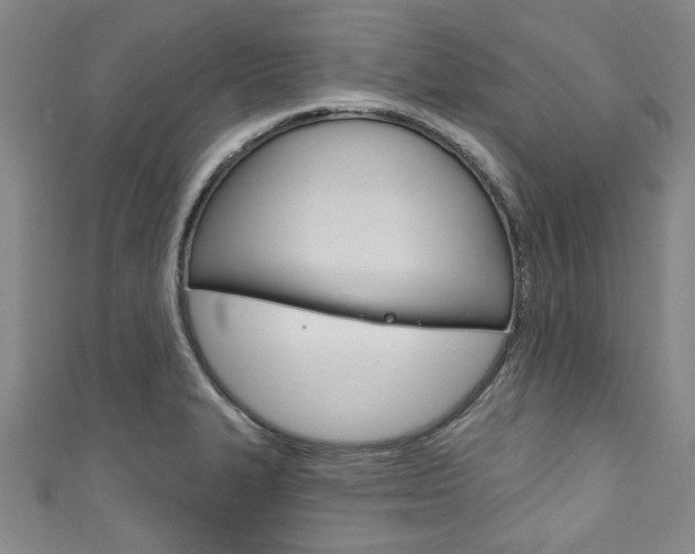 X0000111791327200907230941