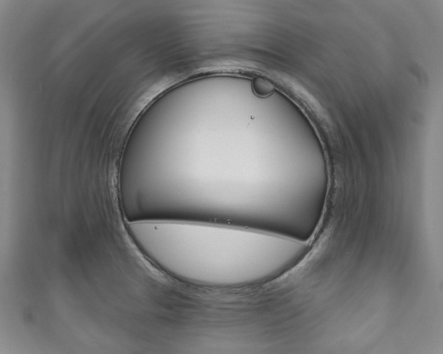 X0000111791329200907230941