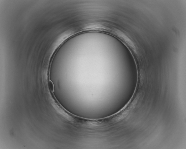 X0000111791330200907230941