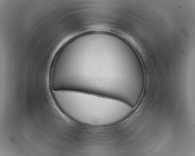 X0000111791331200907230941