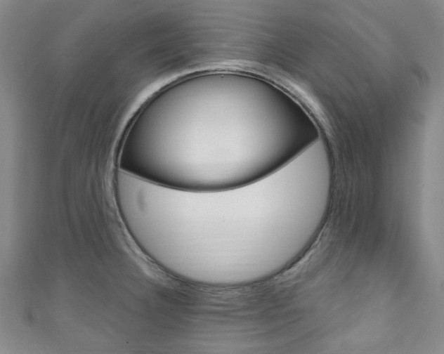 X0000111791332200907230941