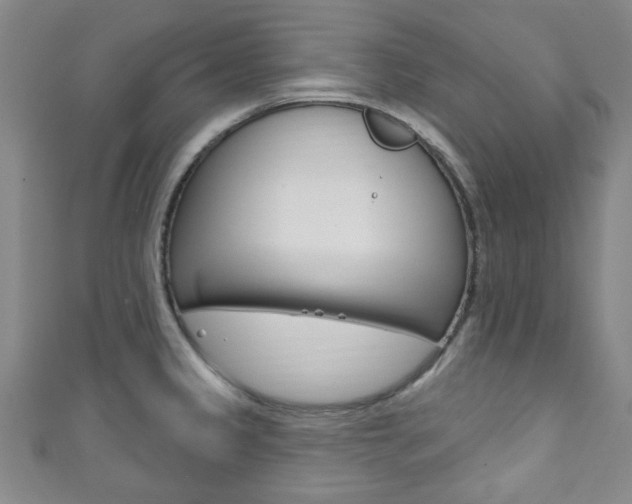 X0000111791333200907230941