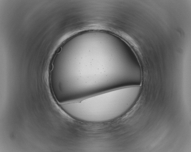 X0000111791334200907230941