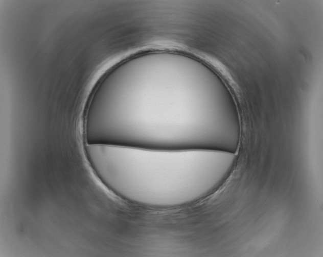 X0000111791335200907230941