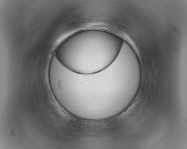X0000111791336200907230941