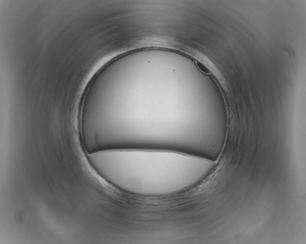 X0000111791339200907230941