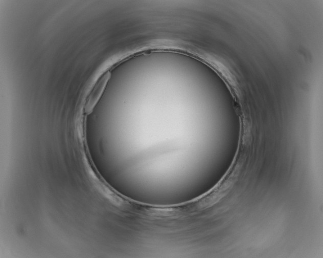 X0000111791342200907230941