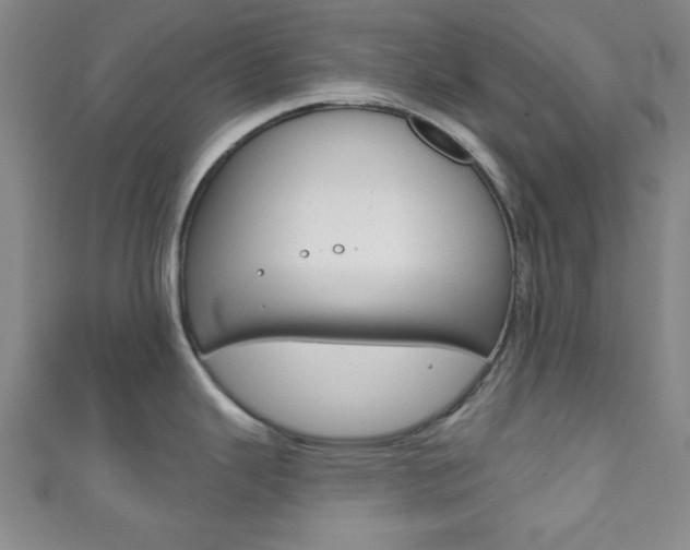 X0000111791343200907230941