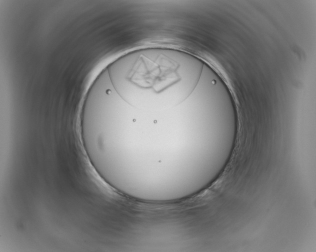 X0000111791344200907230941