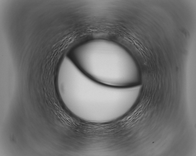 X0000111791345200907230940
