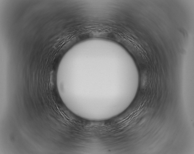 X0000111791346200907230940