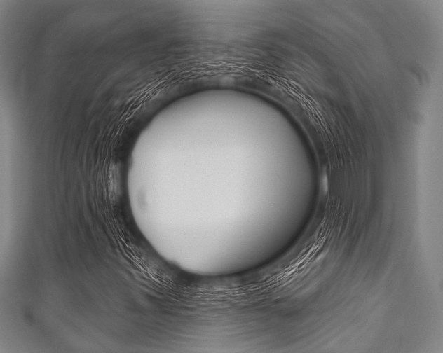 X0000111791347200907230940