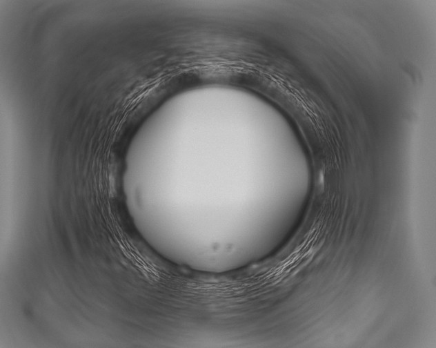 X0000111791348200907230940