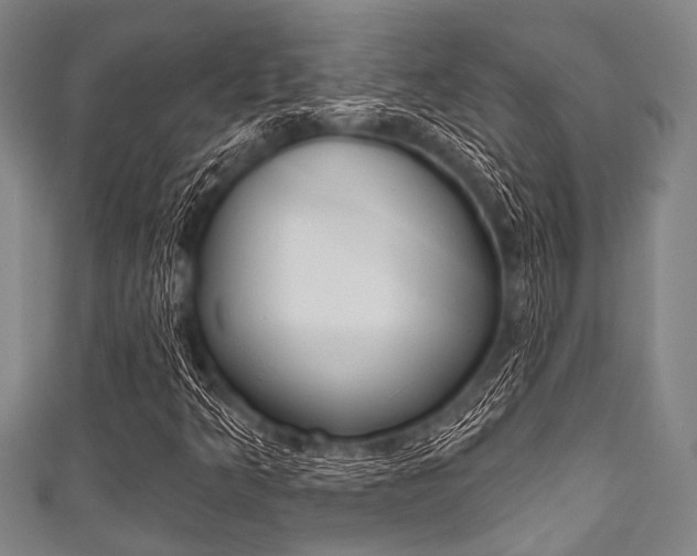 X0000111791349200907230940
