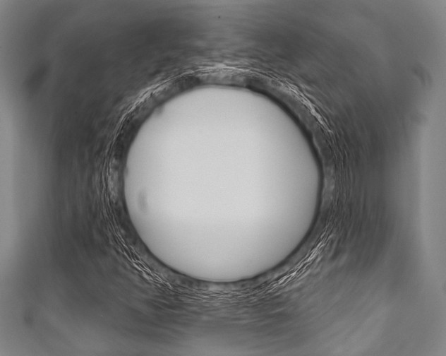 X0000111791350200907230940