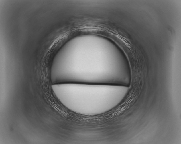 X0000111791351200907230940