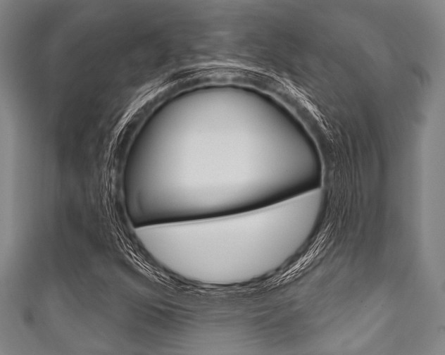 X0000111791352200907230940
