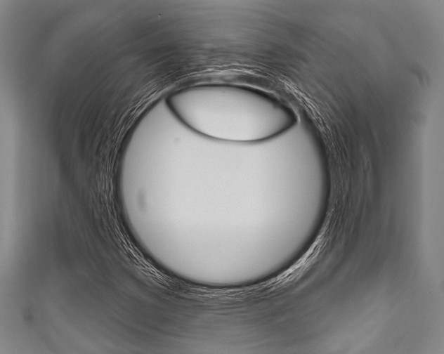 X0000111791353200907230940