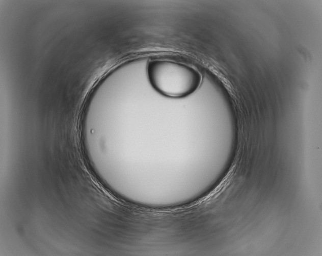 X0000111791357200907230940