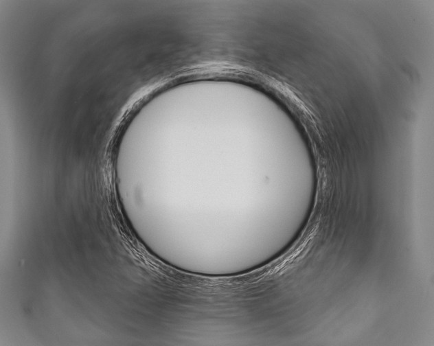 X0000111791358200907230940