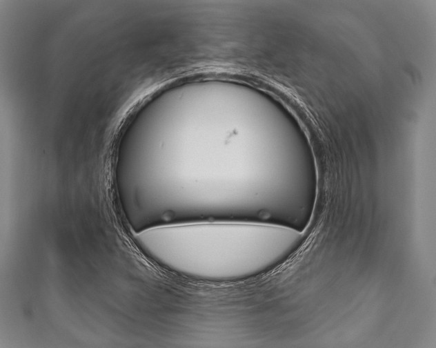 X0000111791359200907230940