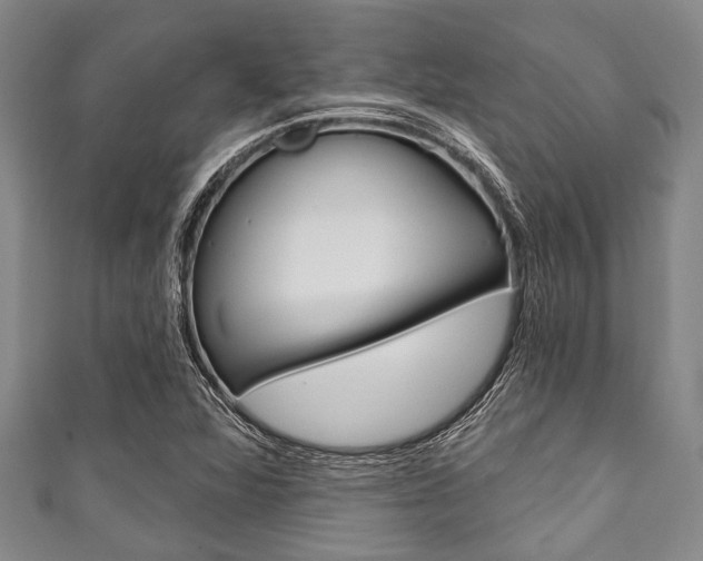 X0000111791360200907230940