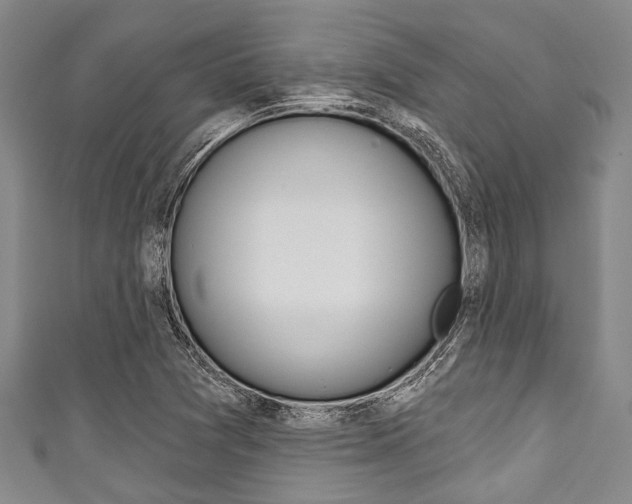 X0000111791361200907230940