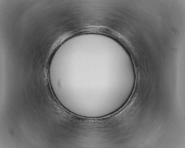 X0000111791362200907230940