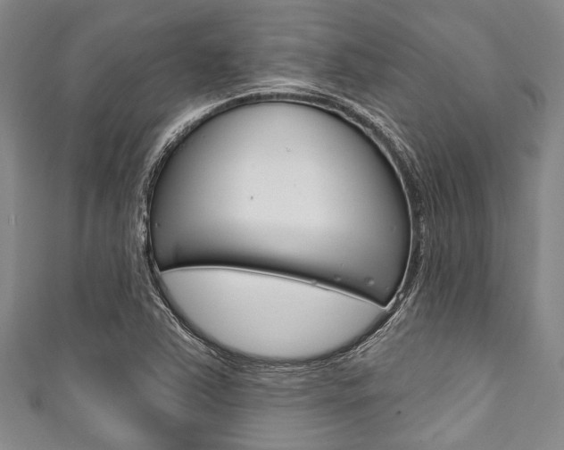 X0000111791363200907230940
