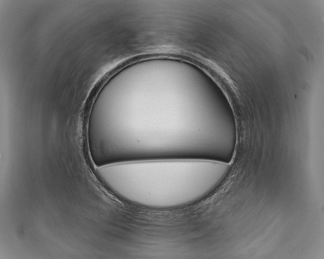 X0000111791364200907230940