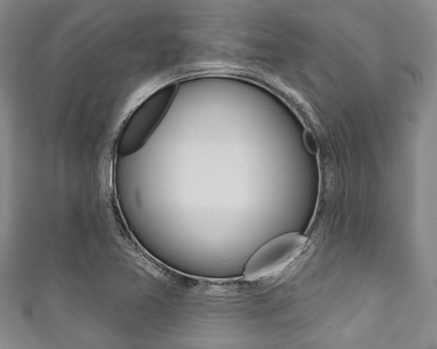 X0000111791365200907230940