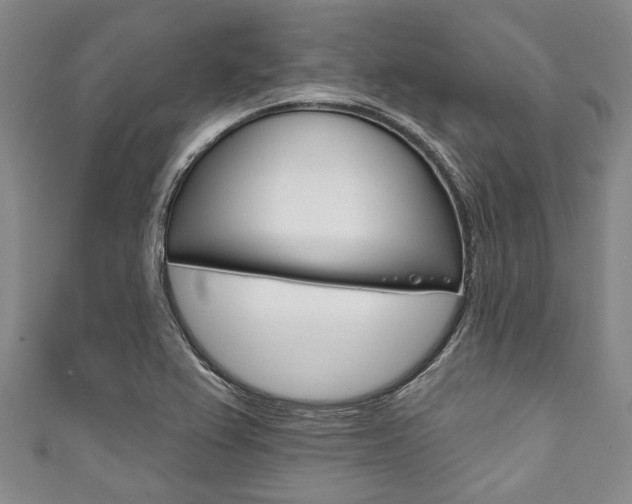 X0000111791367200907230940