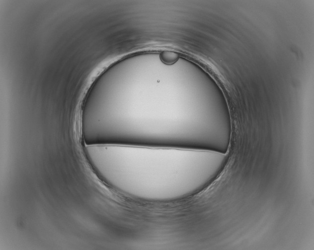X0000111791371200907230940