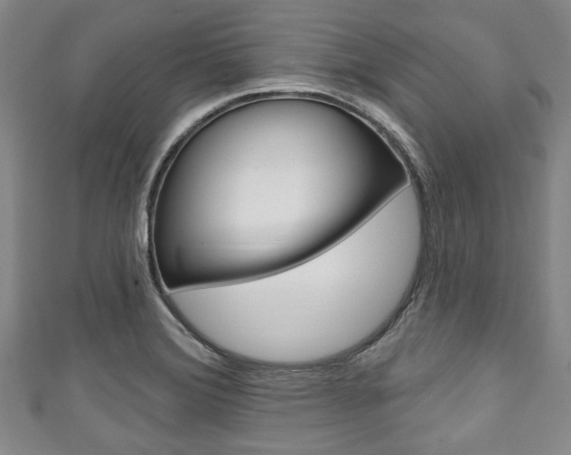 X0000111791372200907230940