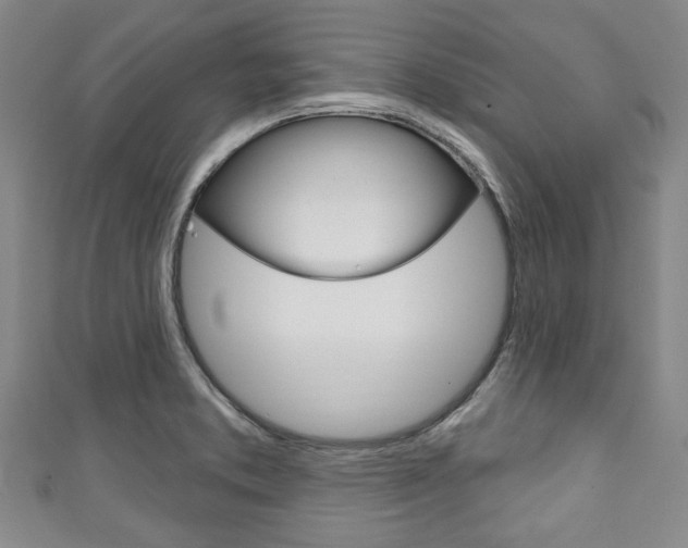 X0000111791373200907230940