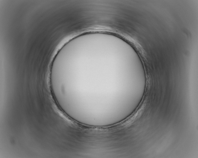 X0000111791374200907230940