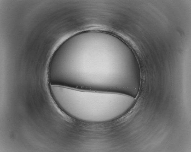X0000111791375200907230940