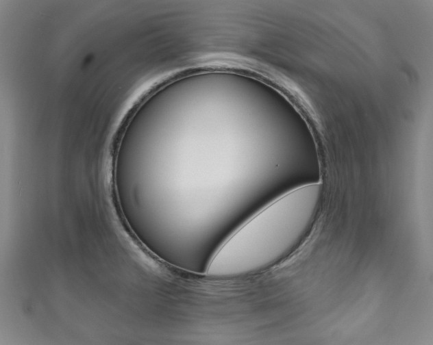 X0000111791376200907230940