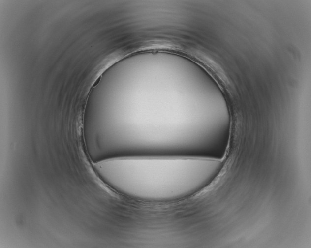 X0000111791377200907230940